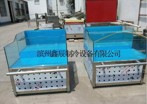 山東鑫辰海鮮貝類臺、爬行類貝類池及水產品展示臺 專業生產廠家、價格解析與家用電器融合應用