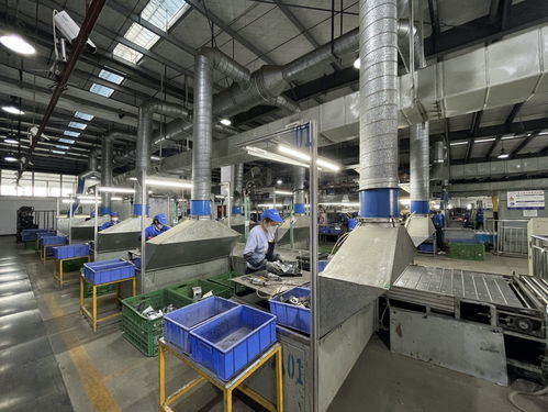 真拆vs二次銷售 長虹美菱以產業鏈打造家電回收體系新標桿